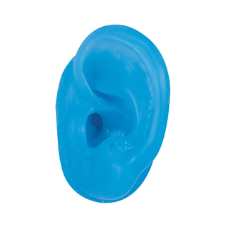27962_1_bbhearing.jpg
